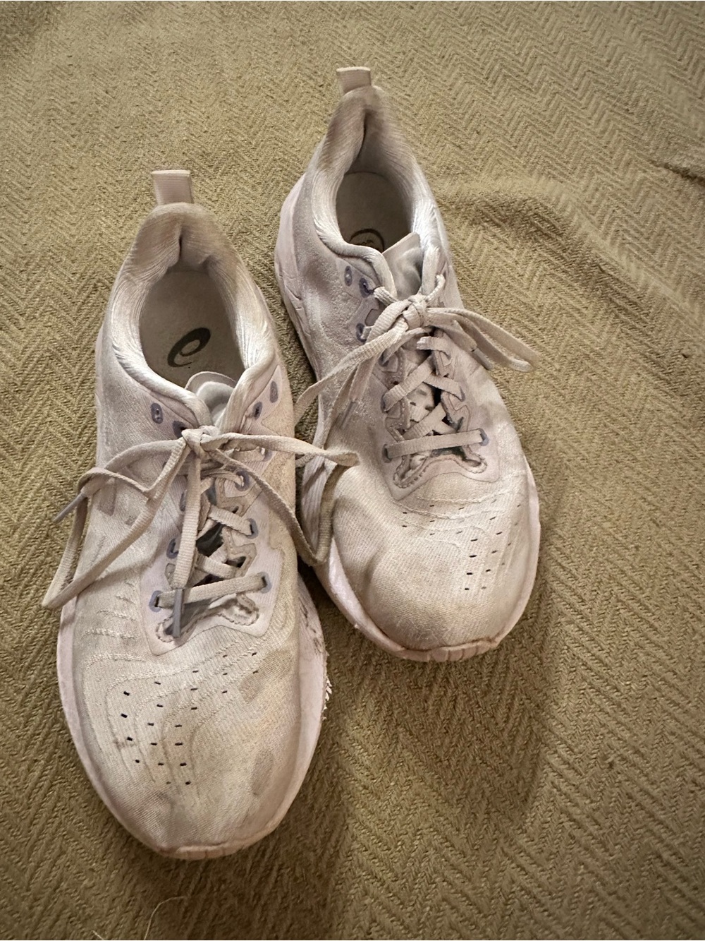 Asics Women's Lilac Running Shoes